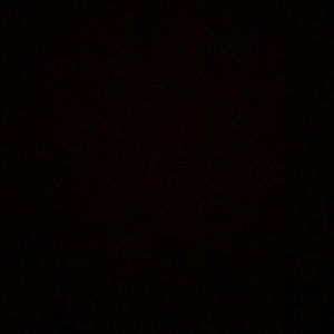 Meet your Posher, Riley